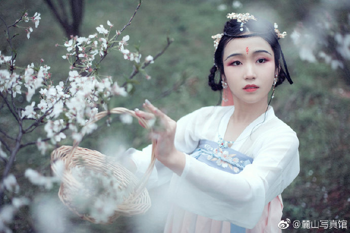 清纯美女樱花树下古装写真图片