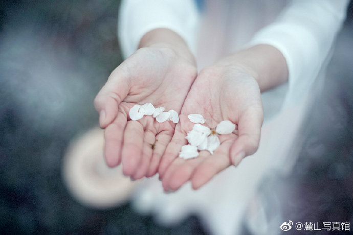 清纯美女樱花树下古装写真图片