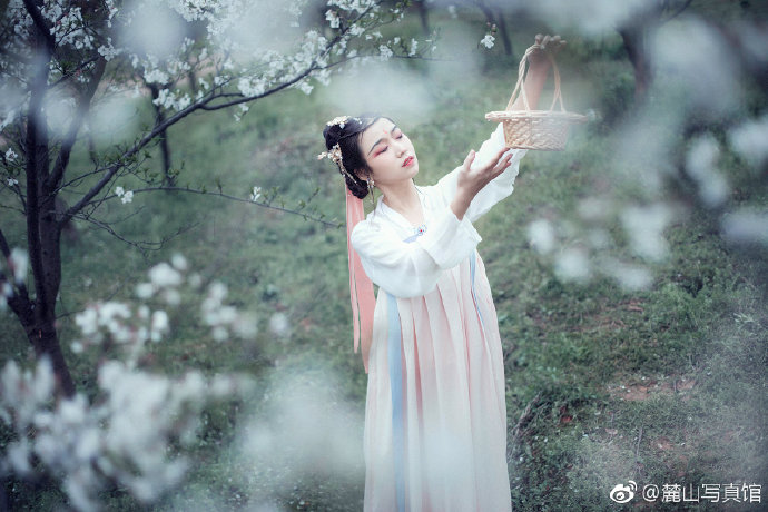 清纯美女樱花树下古装写真图片