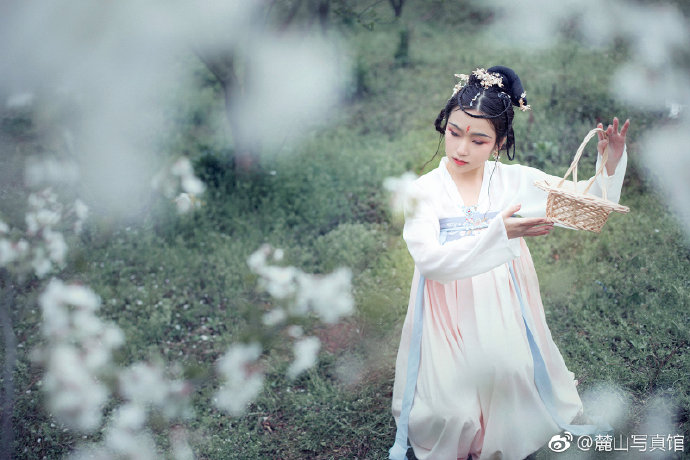 清纯美女樱花树下古装写真图片