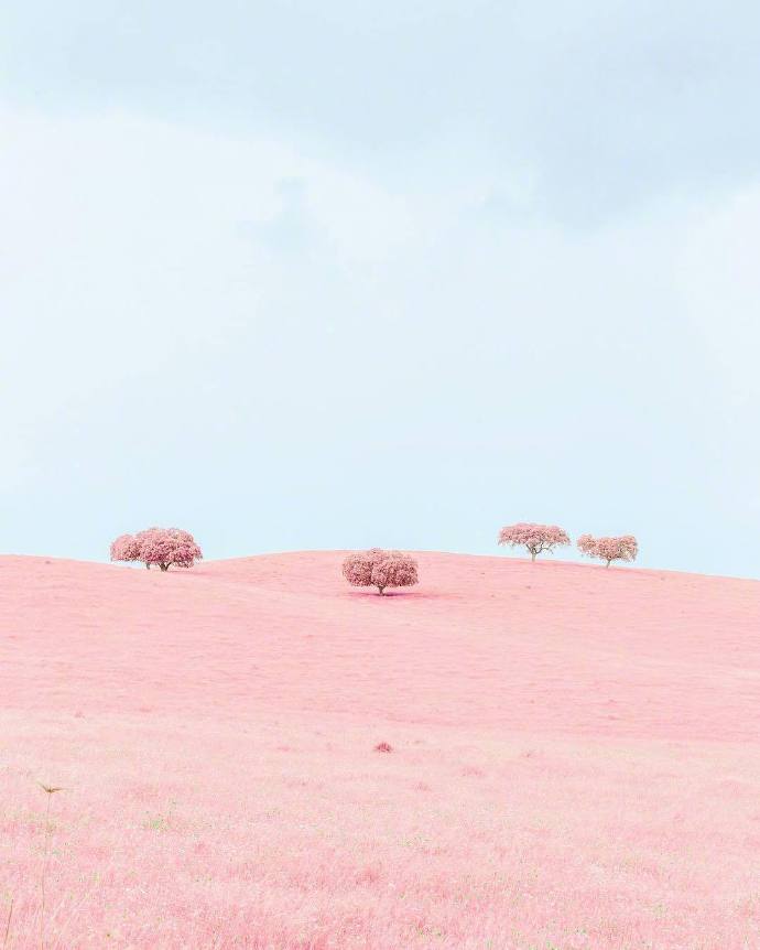 唯美粉色系小清新旅游风景图片