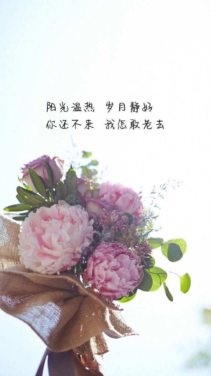 关于爱情的句子手机壁纸图片