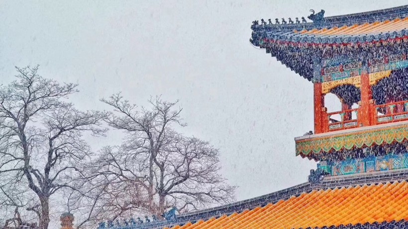 故宫雪景图片