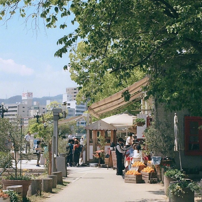 夏天的风景图片