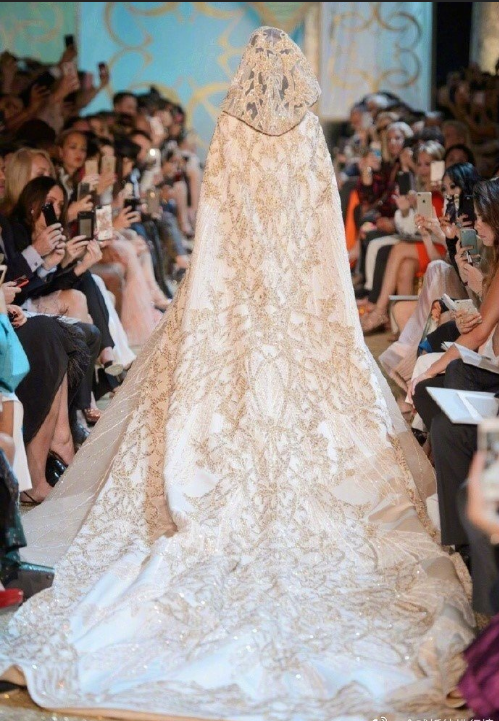 Elie Saab仙女裙背影美女图片