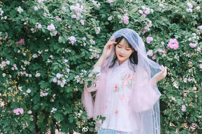 清纯美女图片 秋阙司唯美白纱写真