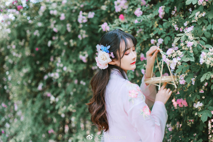 清纯美女图片 秋阙司唯美白纱写真