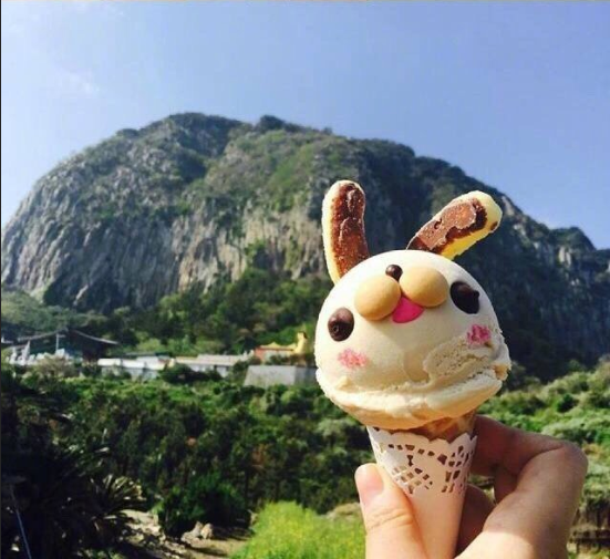 济州岛chichipong的兔子冰淇淋图片