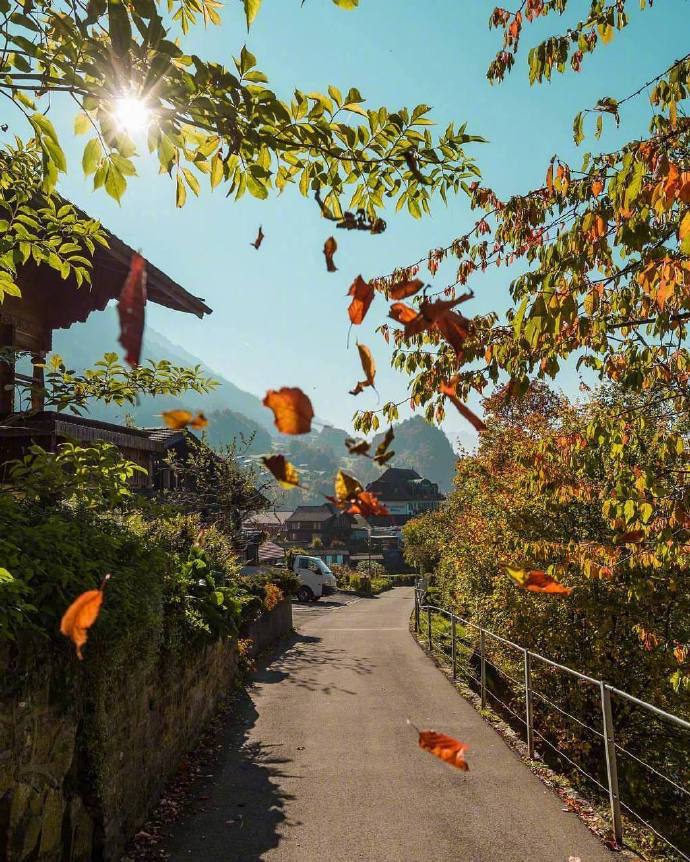 瑞士秋天的景色图片 秋景图片