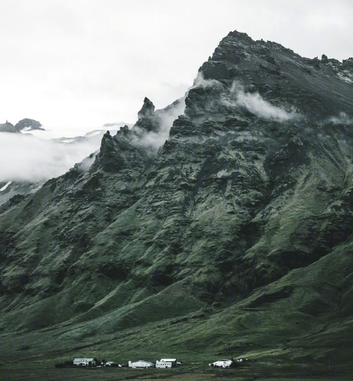 绿色森林图片 暮色森林风景图片