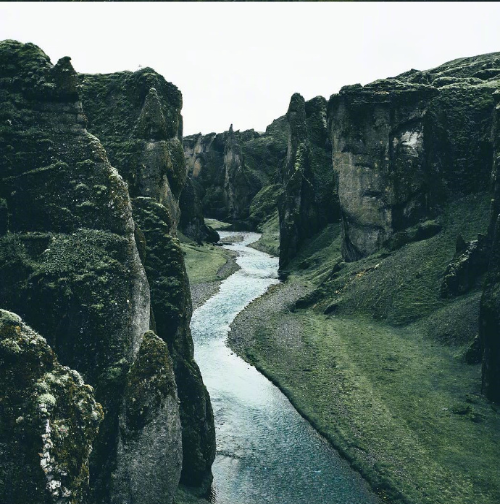 绿色森林图片 暮色森林风景图片