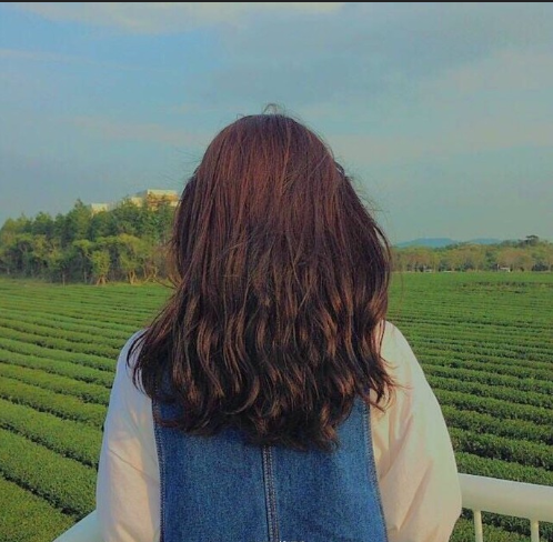 女生背影头像图片 微信头像女图片