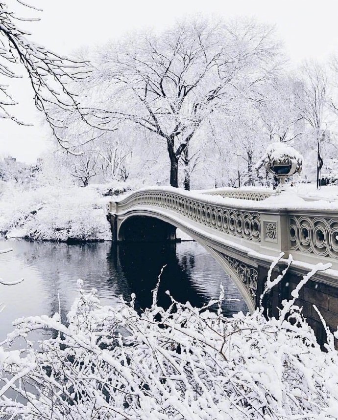 冬日雪景图片大全 雪白的雪景照片