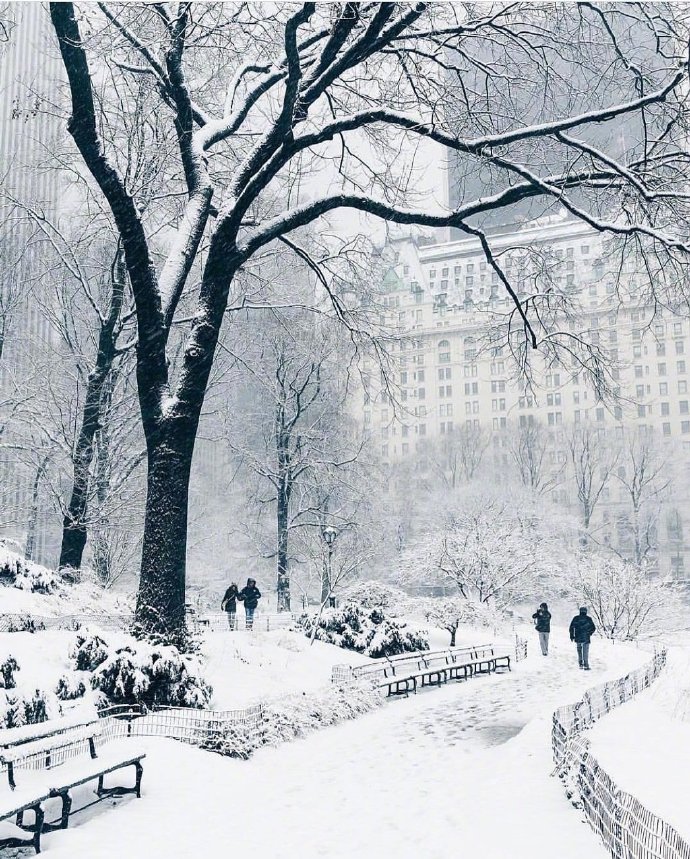 冬日雪景图片大全 雪白的雪景照片