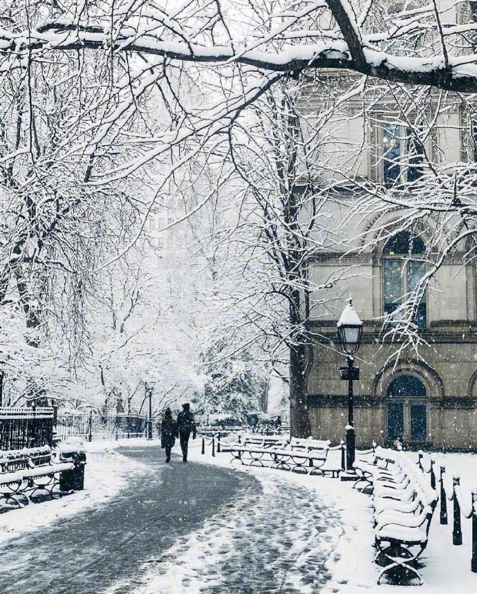 冬日雪景图片大全 雪白的雪景照片