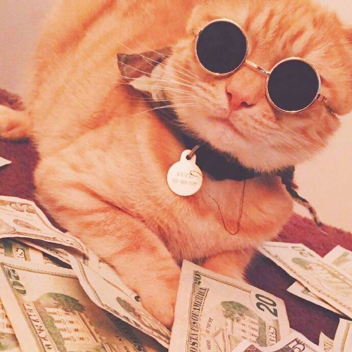 酷酷的招财猫图片 秒赞招财猫发大财