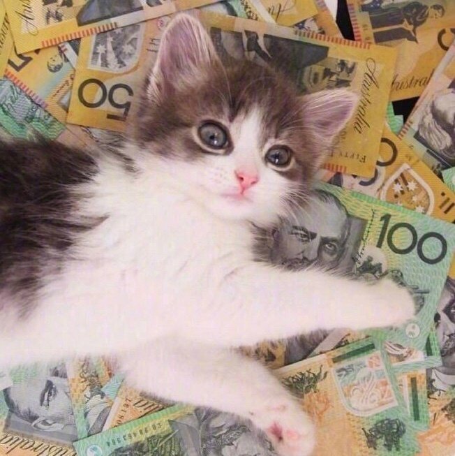 酷酷的招财猫图片 秒赞招财猫发大财