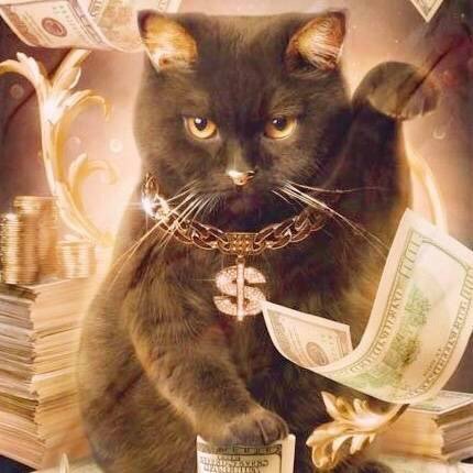 酷酷的招财猫图片 秒赞招财猫发大财