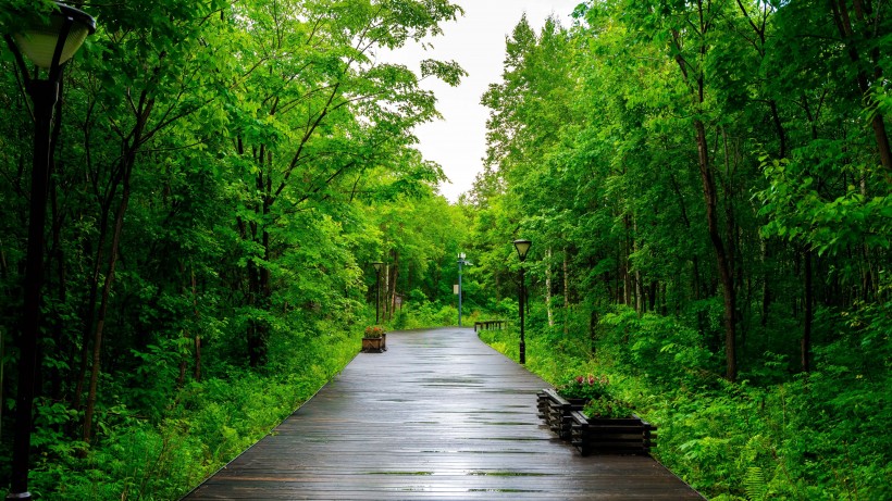 吉林长白山自然风景图片