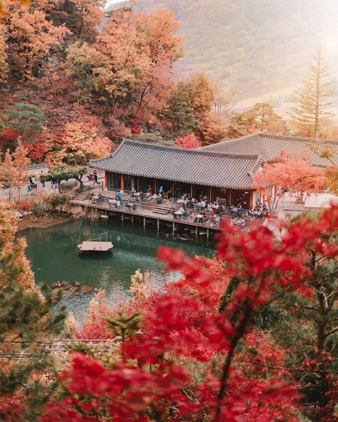 唯美秋天的景色图片  秋天的落叶图片