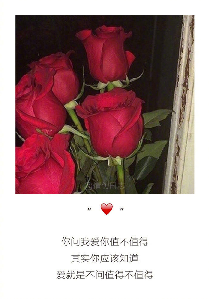 非主流带字图片大全 伤感图片带字