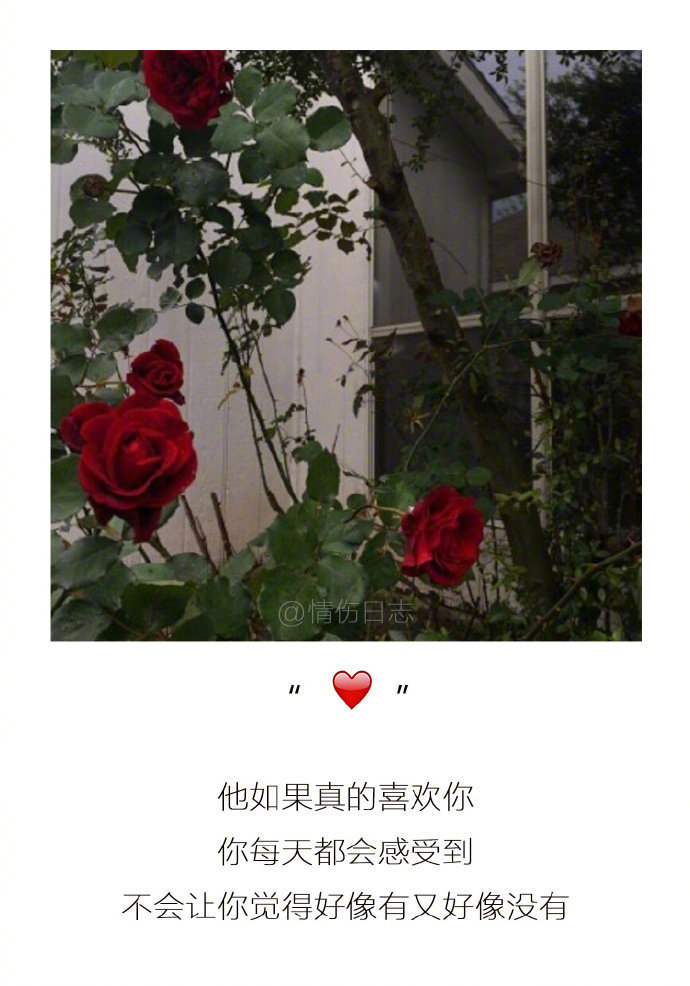 非主流带字图片大全 伤感图片带字
