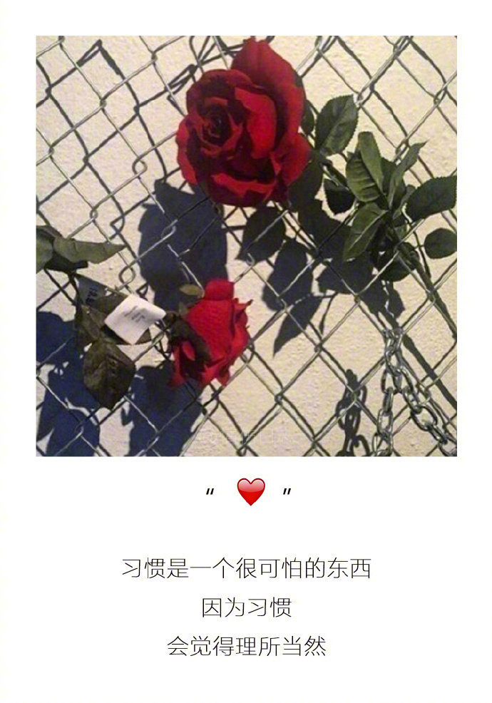 非主流带字图片大全 伤感图片带字