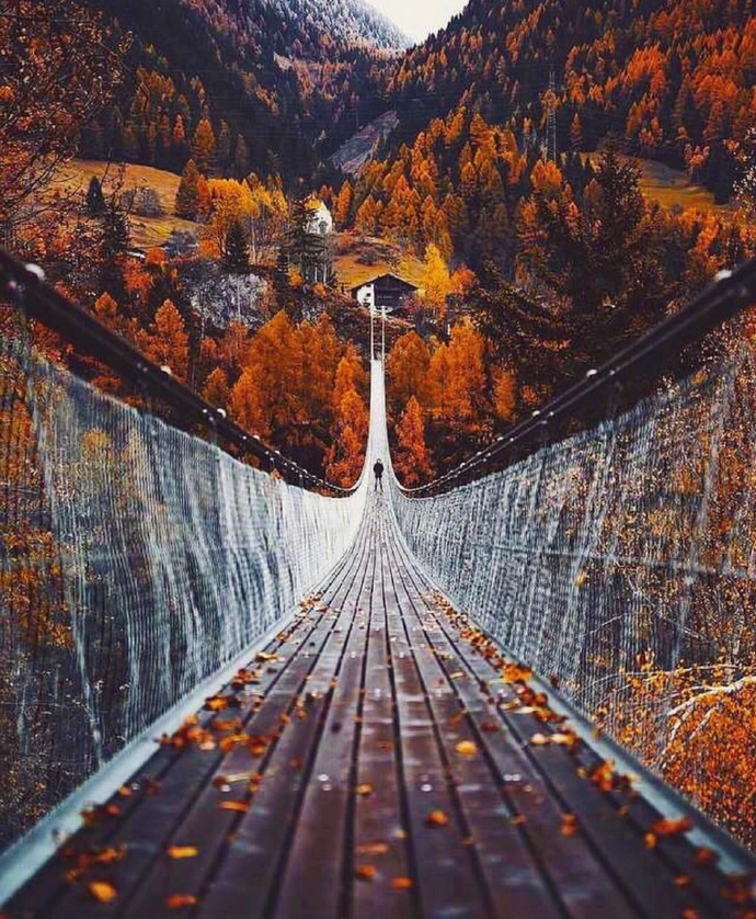 唯美秋天的景色枫叶图片 世事那么难 能遇见不容易