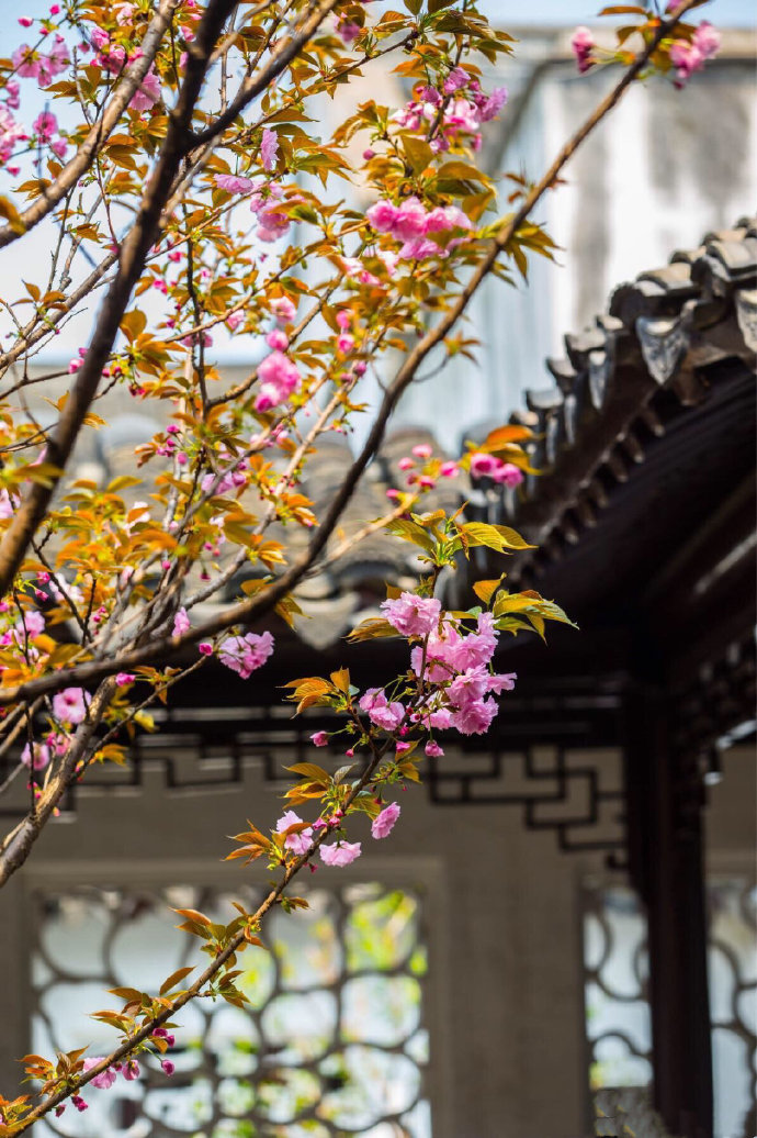 中国建筑江南水乡古镇图片