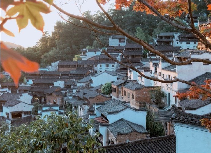 唯美风景图片 村藏红叶萧萧雨 门对青山面面秋