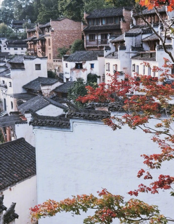 唯美风景图片 村藏红叶萧萧雨 门对青山面面秋