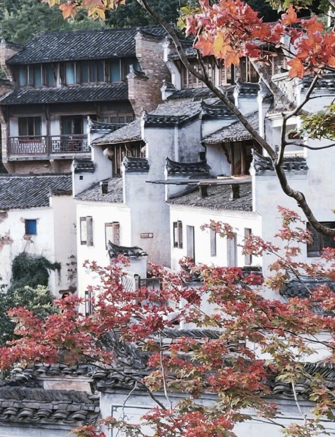 唯美风景图片 村藏红叶萧萧雨 门对青山面面秋