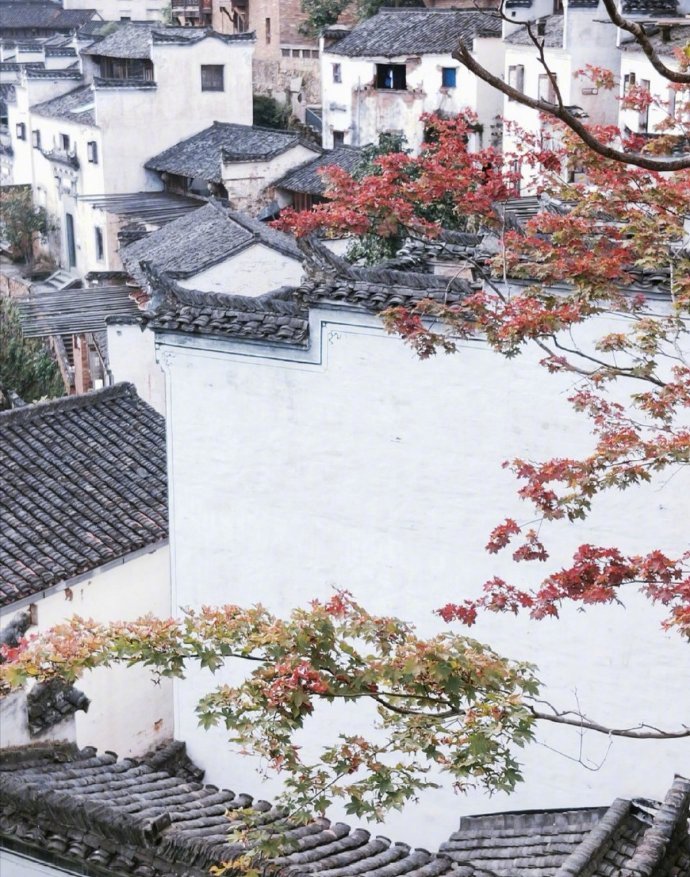 唯美风景图片 村藏红叶萧萧雨 门对青山面面秋