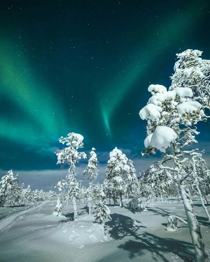 芬兰旅游大雪纷飞梦幻的雪白世界图片