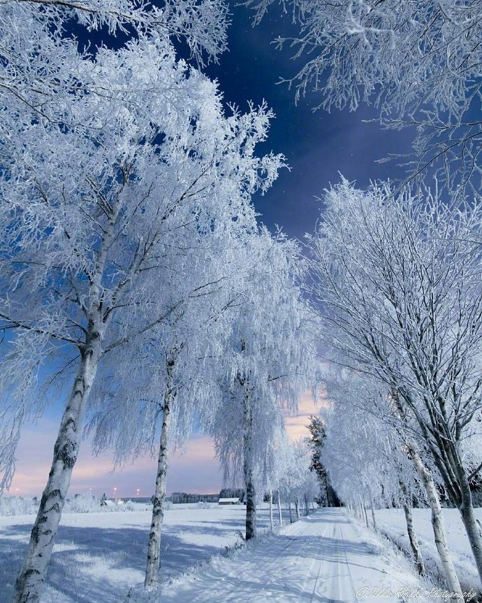 芬兰旅游大雪纷飞梦幻的雪白世界图片
