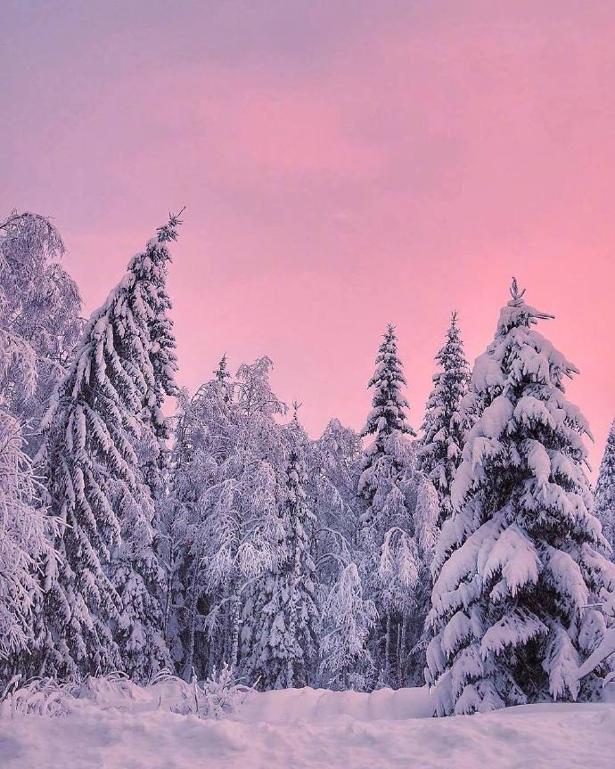 雪地里的黄昏自然风景图片