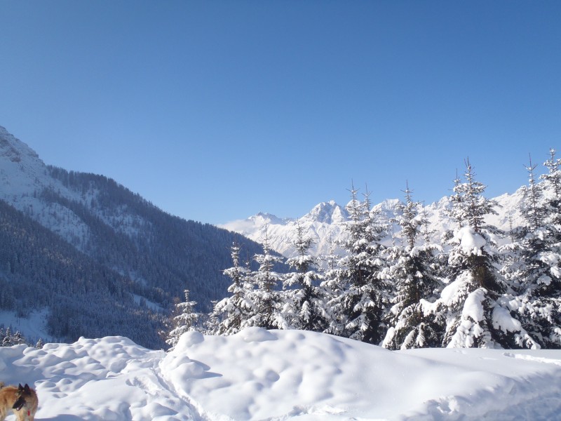 冬日里的皑皑白雪风景图片