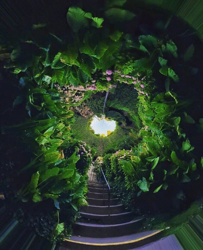 澳大利亚神奇的洞穴花园风景图片