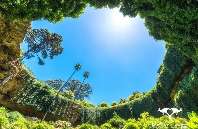 澳大利亚神奇的洞穴花园风景图片