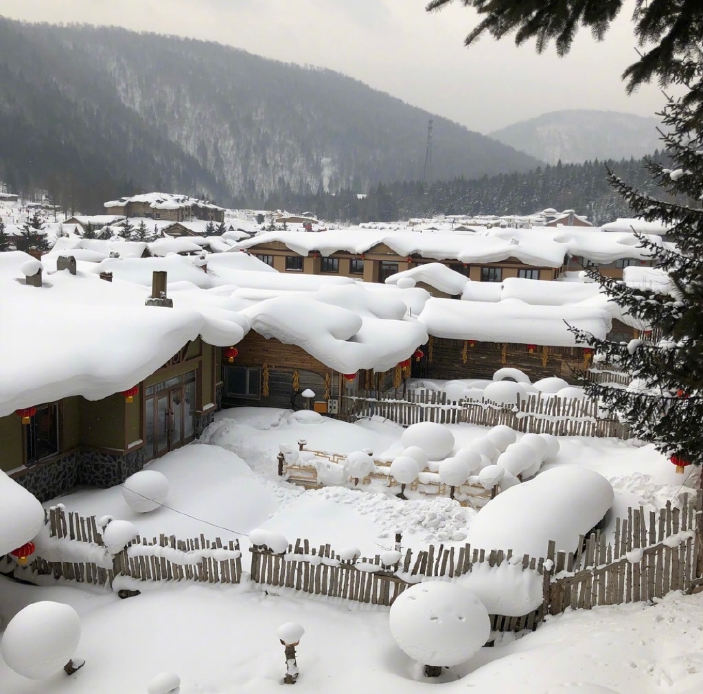 雪白纯净的世界中国雪乡风景图片
