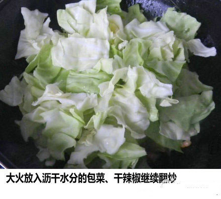 麻辣鲜香的家常菜食谱手撕包菜的做法