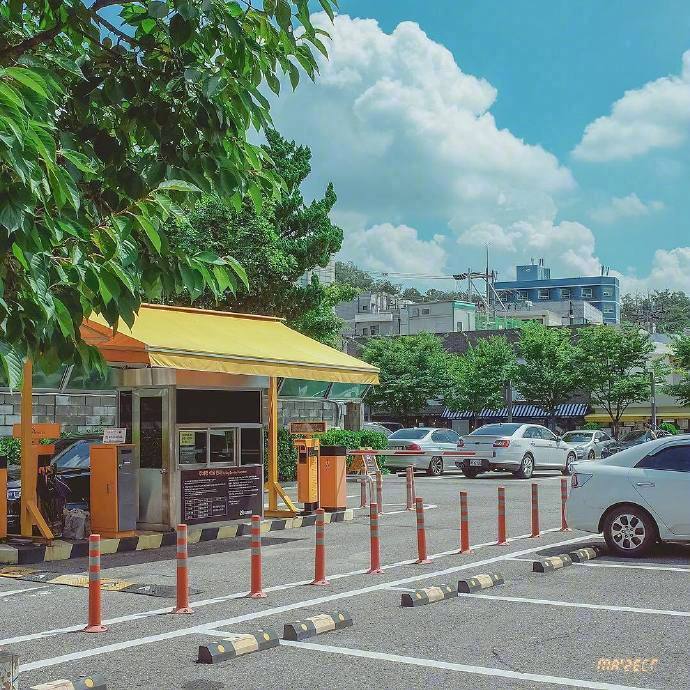 美好的春日气息 春天的景色图片