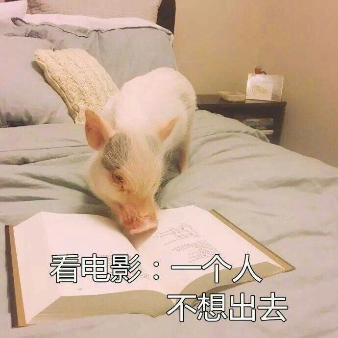 微信表情包 我太难了表情包图片