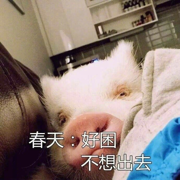 微信表情包 我太难了表情包图片