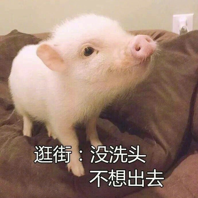 微信表情包 我太难了表情包图片