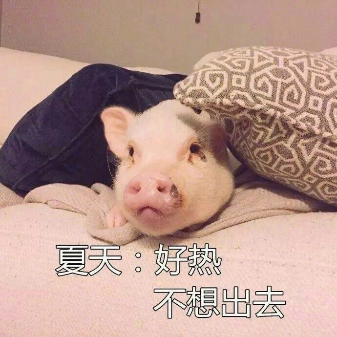 微信表情包 我太难了表情包图片