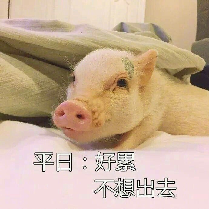 微信表情包 我太难了表情包图片