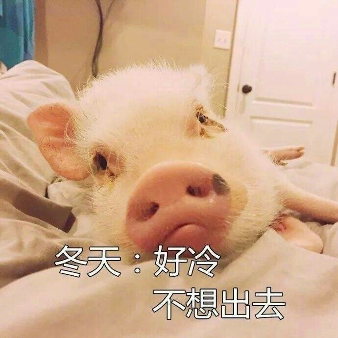 微信表情包 我太难了表情包图片