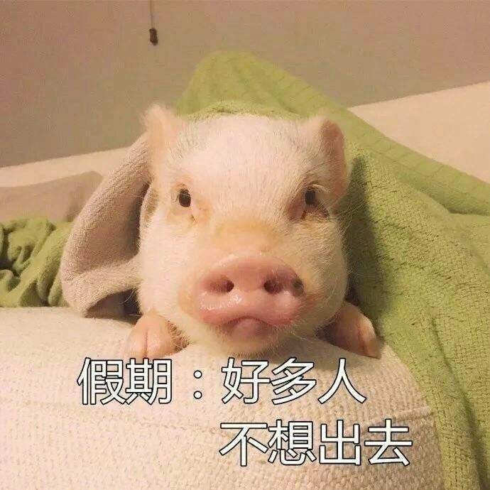 微信表情包 我太难了表情包图片