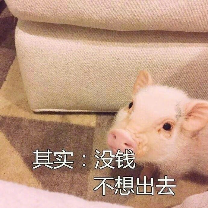 微信表情包 我太难了表情包图片